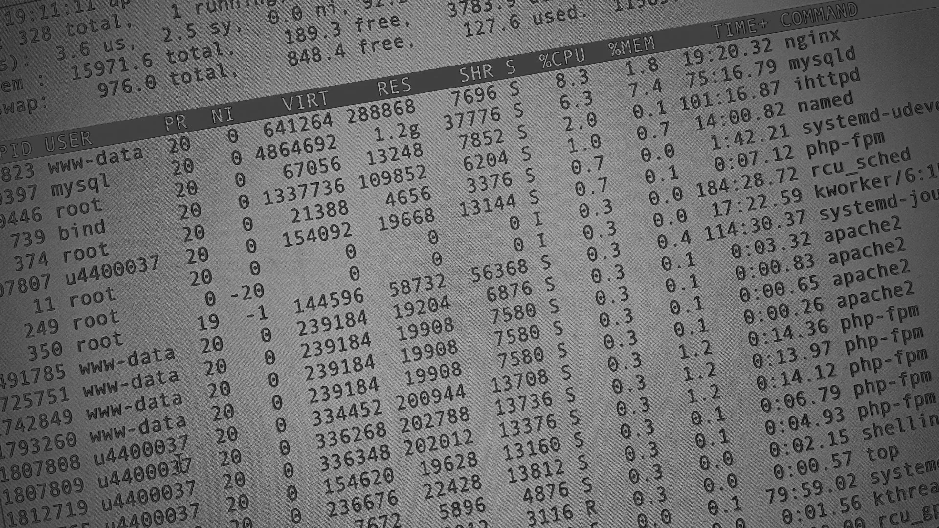 Настройка сервера в Будённовске