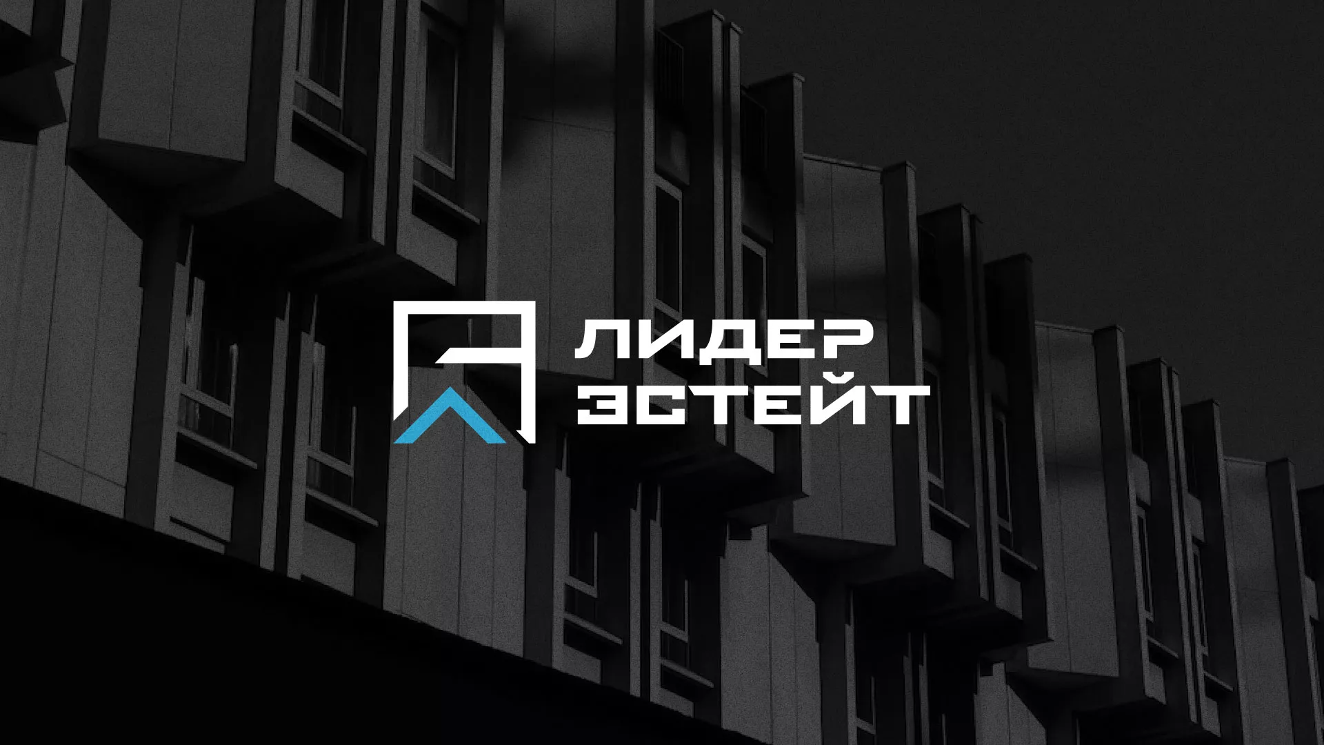 Разработка логотипа агентства недвижимости «Лидер Эстейт» в Будённовске
